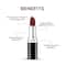 Renee Cosmetics Stunner Matte Lipstick - Big Bang (4 g)