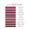 Renee Cosmetics Stunner Matte Lipstick - Big Bang (4 g)