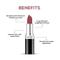 Renee Cosmetics Stunner Matte Lipstick - Brave Heart (4 g)