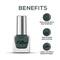 Renee Cosmetics Mattitude Nail Paint - Algae Green (10 ml)