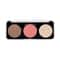 Swiss Beauty Blusher & Highlighter Palette - 02 (8 g)