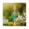 Forest Essentials Intense Mallika Eau De Parfum For Unisex (10 ml)
