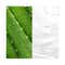 Mario Badescu Glycolic Acid Toner (236 ml)