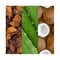 Mario Badescu Facial Spray with Aloe Adaptogens & Coconut Toner (118 ml)