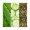 Mario Badescu Facial Spray with Aloe Cucumber & Green Tea Toner (59 ml)
