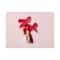 Elizabeth Arden Lip Lipstick - Legendary Red Matte 07 (4 g)