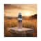 Nike Urban Musk Deo For Man (200 ml)