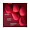 Lakme Absolute Makeup Master Tools - Dual Ended Sided Beauty Blender