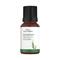 Aravi Organic 100% Pure Natural Rosemary Essential Oil For Hair Growth & Nourish Skin (10 ml)