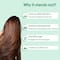 Aravi Organic Rosemary Hair Growth Shampoo For Healthy Hair & Nourish Your Scalp (200 ml)