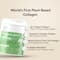 Wellbeing Nutrition Vegan Pro Collagen Hyaluronic Acid Skin and Hair Lemon Lime Flavor (200 g)