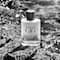 Giorgio Armani Acqua Di Gio Eau De Toilette (100 ml)
