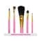 Vega Red Gold-Toned Makeup Brushes Set For Women Color May Vary (RV-05) (5 pcs)