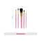 Vega Red Gold-Toned Makeup Brushes Set For Women Color May Vary (RV-05) (5 pcs)