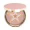 Makeup Revolution Pro Iconic Blush & Highlight Party (8 g)