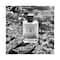 Giorgio Armani Acqua Di Gio Eau De Toilette (50 ml)