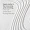 The Ordinary Azelaic Acid Suspension 10% (30 ml)