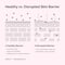 The Ordinary Soothing & Barrier Support Serum (30 ml)
