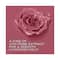 Lakme Rouge Bloom Matte Liquid Lipstick - Blushing Bae 204 (3.5 ml)