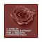 Lakme Rouge Bloom Matte Liquid Lipstick - Enchanted Woods 307 (3.5 ml)
