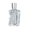 Diesel D5 Eau De Toilette (50 ml)