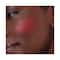 Make Up For Ever Artist Face Powder Blush - B350 - Flashing Fire (5 g)