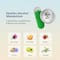 Wellbeing Nutrition Hangover Relief Milk Thistle and Electrolytes Hangover Prevention Lemon Flavor