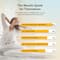 Wellbeing Nutrition Hangover Relief Milk Thistle and Electrolytes Hangover Prevention Lemon Flavor