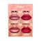 Sheglam So Lippy Lip Liner Set - Rose Garden (3 pcs)