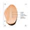 Allies Of Skin Peptides & Antioxidants Advanced Firming Daily Treatment (20 ml)