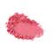 KIKO Milano Unlimited Blush - 09 Sophisticated Pink (6 g)