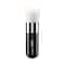 VEGA Professional Face/Body Polishing Brush - VPPMB-15