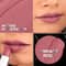 Renee Prime Matte Lipstick - 01 Vintage Rose (4.5 g)