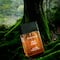 Giordano Wild Safari Eau de Parfum (100 ml)