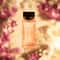 Giordano Spring Breeze Eau de Parfum (100 ml)