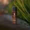 Giordano Wild Safari Deodorant Spray (200 ml)