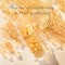Elizabeth Arden Advanced Light Ceramide Capsules Strengthening & Refining Serum (30 Capsules)