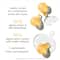 Elizabeth Arden Advanced Light Ceramide Capsules Strengthening & Refining Serum (30 Capsules)