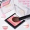 Insight Cosmetics 5 Shades Of Shine Brick Blusher - Prism Cascade (12 g)