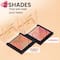 Insight Cosmetics Glow Play Blush & Highlighter 4 In 1 - Sparkle Finch (12 g)