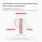 VT Cosmetics Collagen Reedle Shot 100 (50 ml)