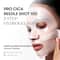 VT Cosmetics Pro Cica Reedle Shot 100 2-Step Hydrogel Mask (33 g)