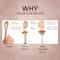 Vega Fan Brush For Face Highlighting and Remove Access Powder MBN-11