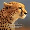 CHANTECAILLE Luminescent Eye Shade - Cheetah (2.5 g)