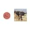 CHANTECAILLE Cheek Shade - Elephant Smitten (2.5 g)
