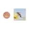CHANTECAILLE Cheek Shade - Bee Emotion (2.5 g)
