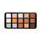 Character Pro Concealer Palette - C-A302 (45 g)