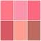 Matt Look Blush My Mood Blusher Pallete - Beautiful Inside Out-02 (19.5 g)