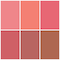 Matt Look Blush My Mood Blusher Pallete - That’s My Style-03 (19.5 g)