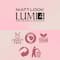 Matt Look Lumi 4 Glow Baked Blusher & Highlighter - Goddess Dust-02 (7.5 g)